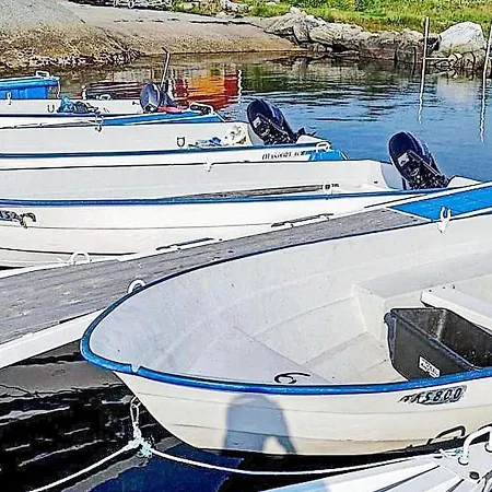 V Aukra
